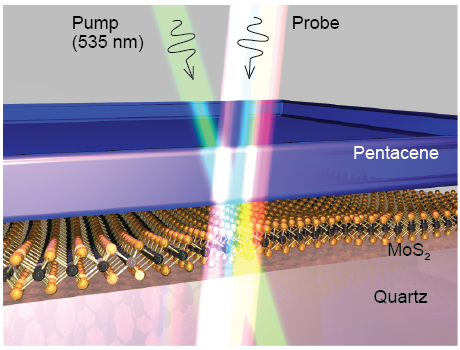 Ultrafast Exciton Dissociation and Long-Lived Charge Separation in a Photovoltaic Pentacene?MoS2 van der Waals Heterojunction